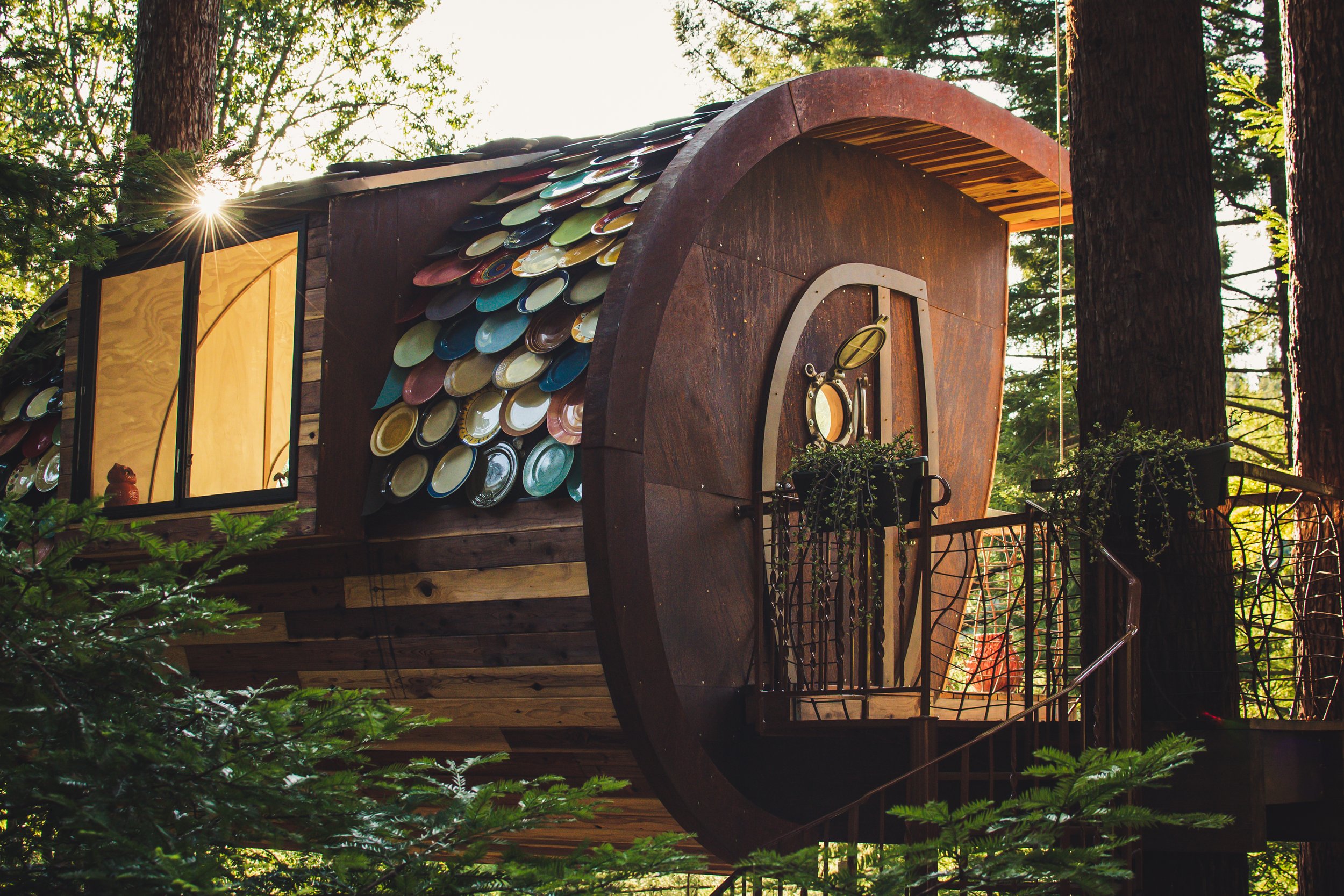 Occidental Tree House
