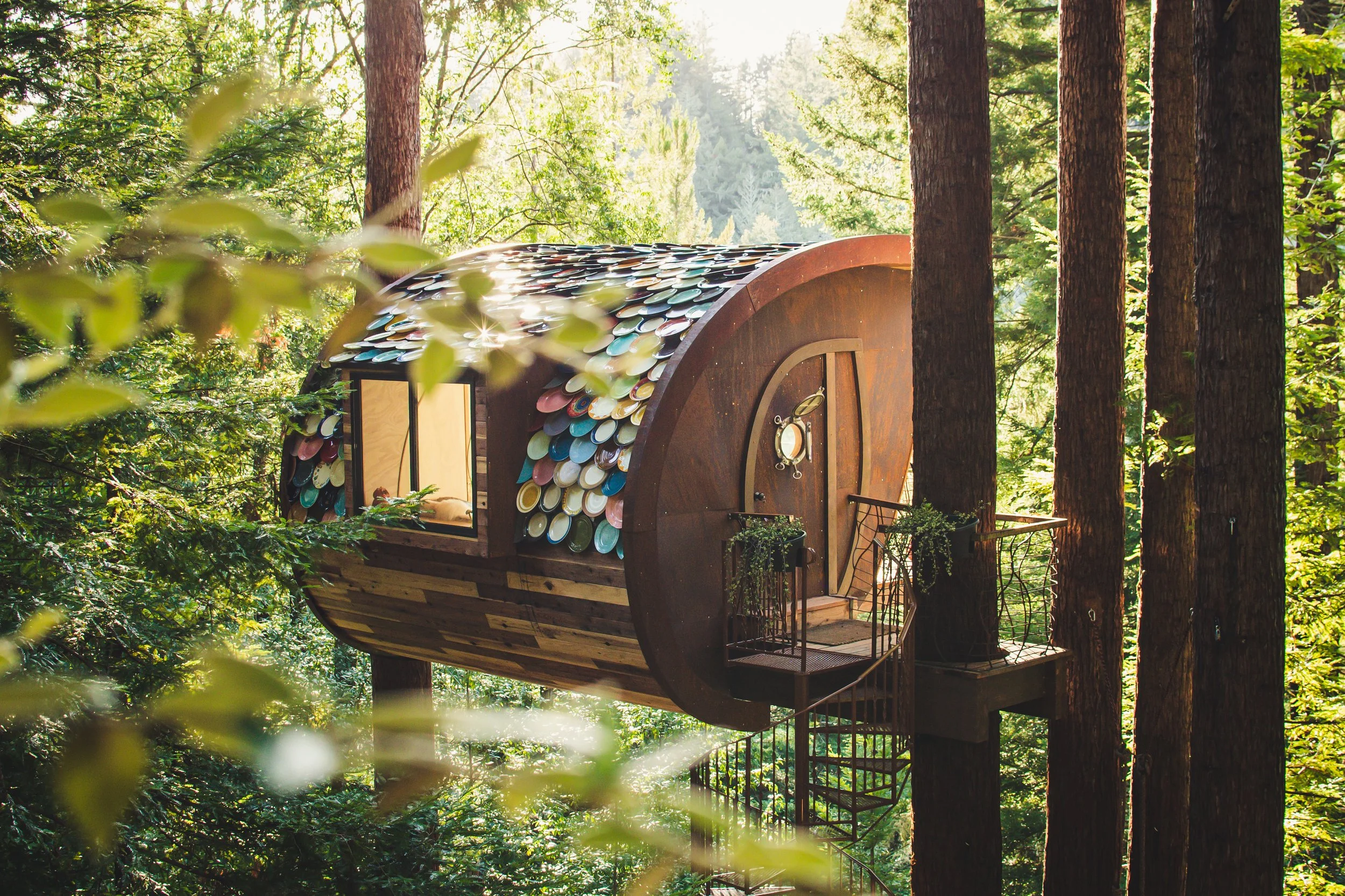Dustin Fieder, CEO o2 Treehouse